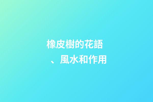 橡皮樹的花語、風水和作用